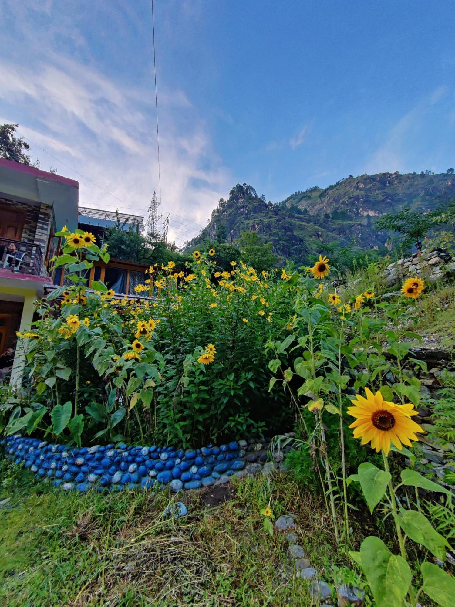 Hotel Flipsyde Retreat Kasol Exterior foto
