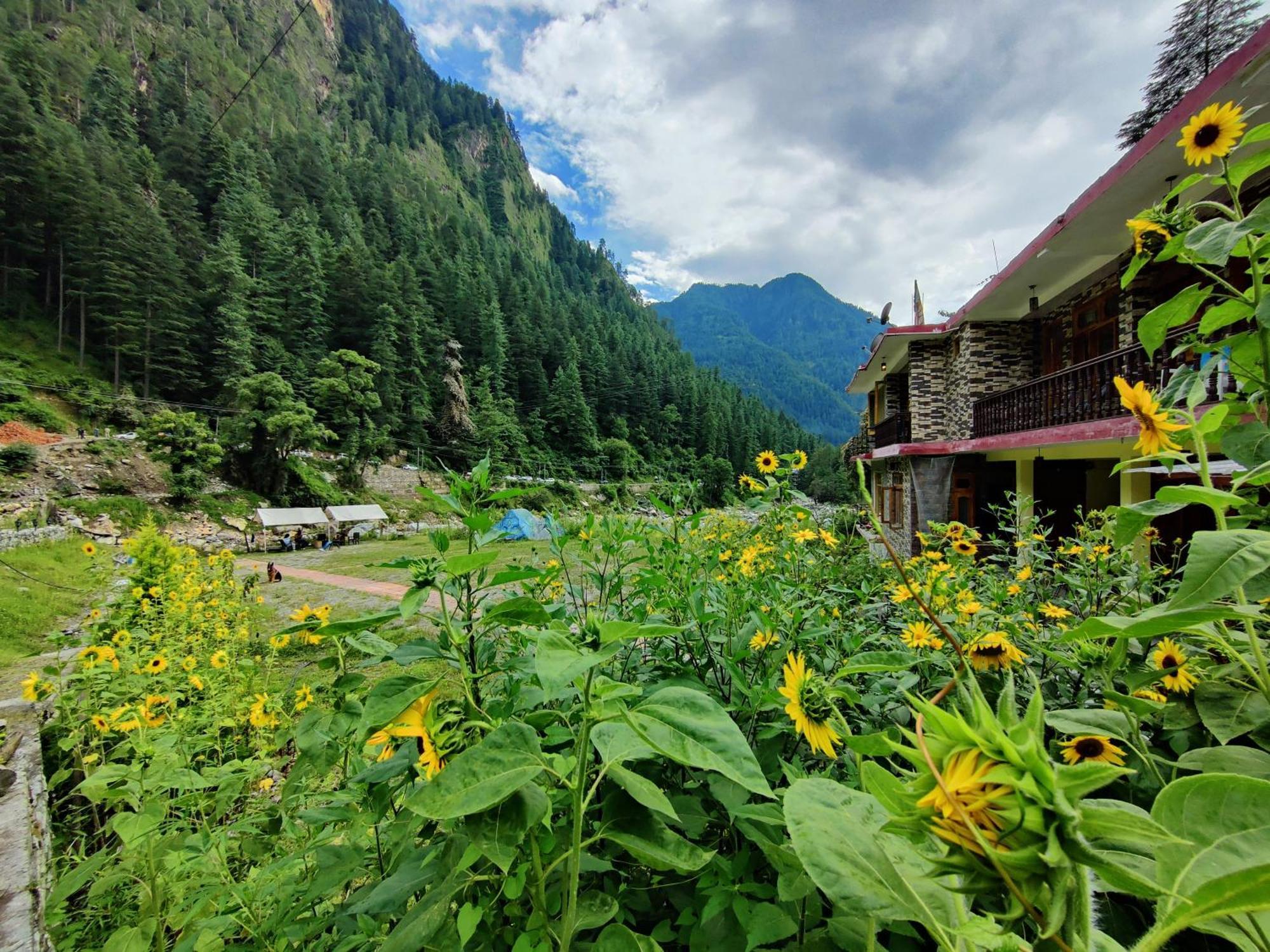 Hotel Flipsyde Retreat Kasol Exterior foto