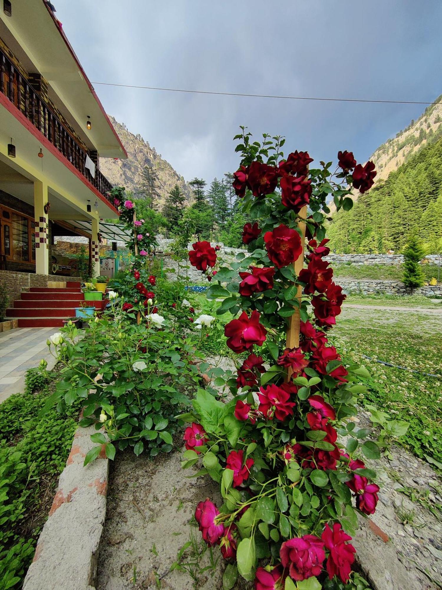 Hotel Flipsyde Retreat Kasol Exterior foto
