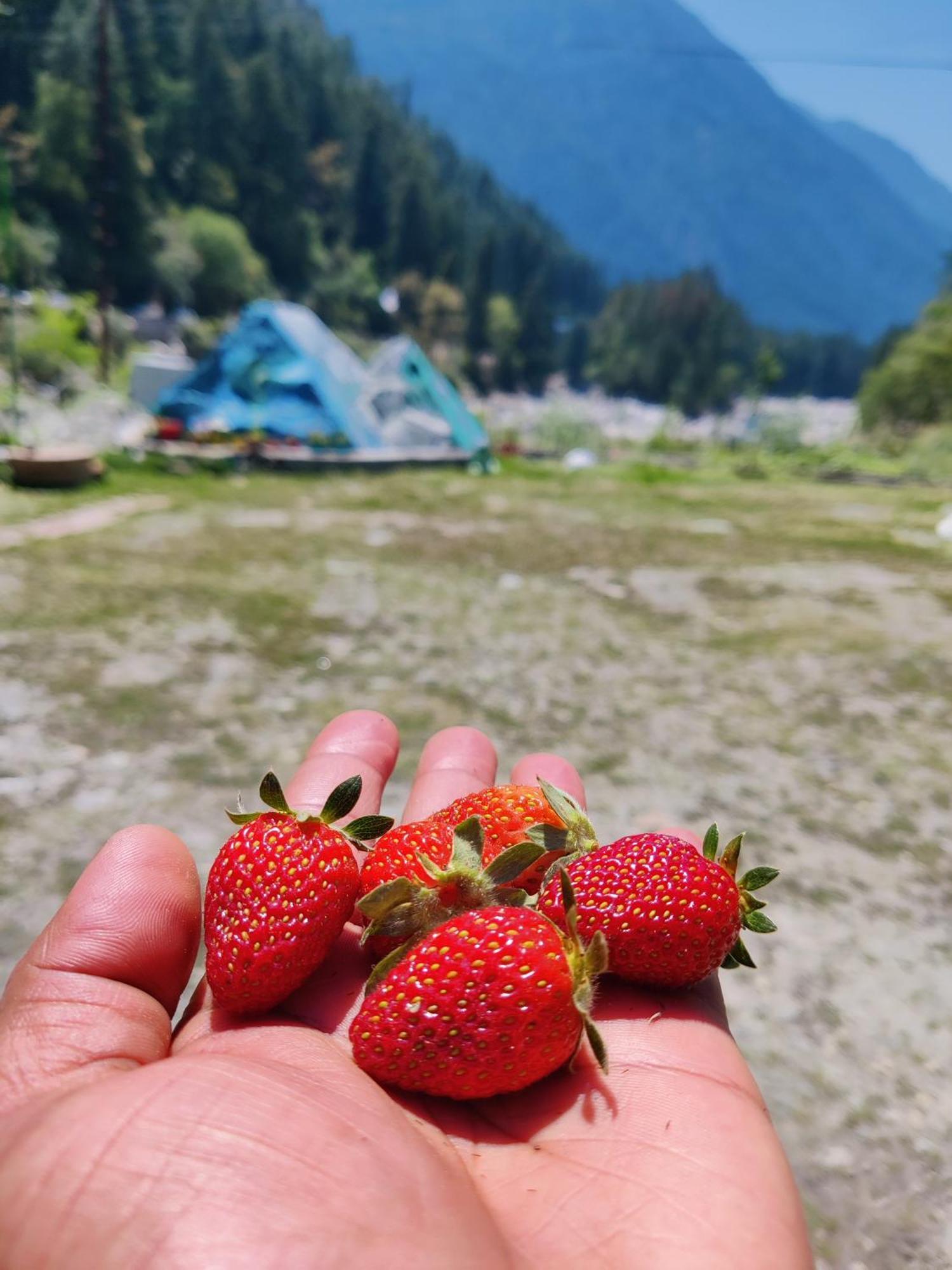 Hotel Flipsyde Retreat Kasol Exterior foto