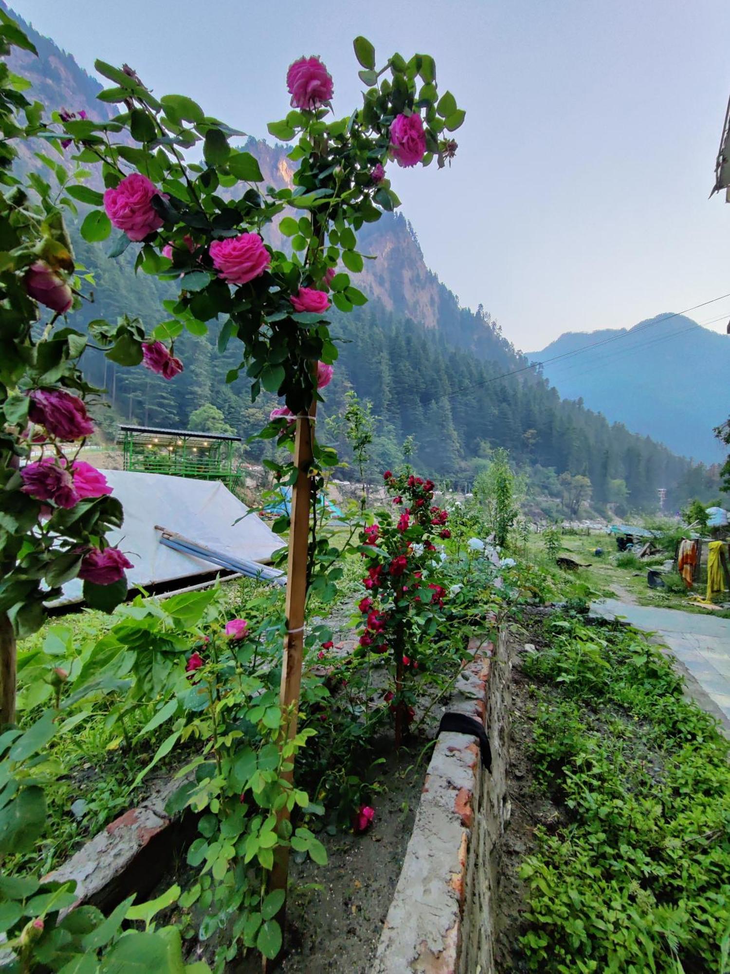 Hotel Flipsyde Retreat Kasol Exterior foto